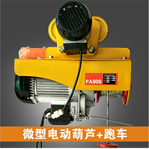 PA200-1000微型電動(dòng)葫蘆+電動(dòng)小車